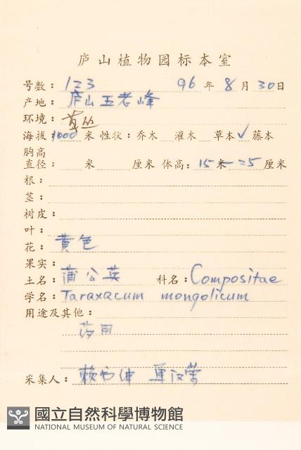 蒲公英藏品圖，第2張