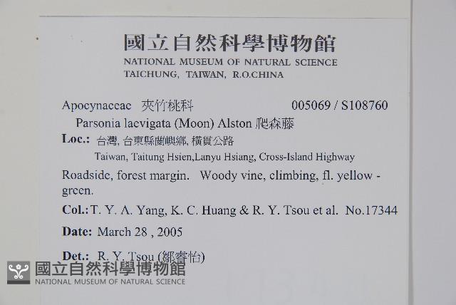 爬森藤藏品圖，第2張