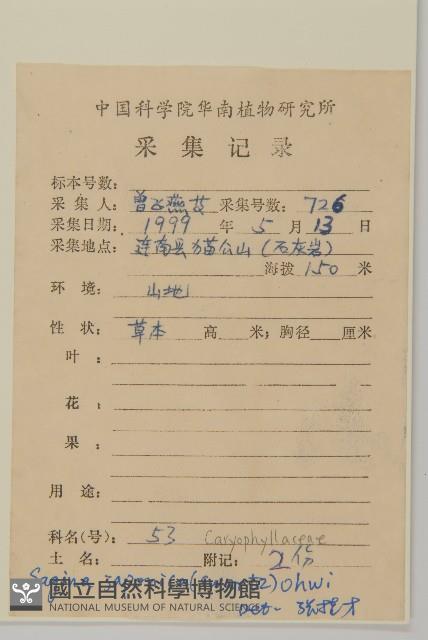 瓜槌草、漆姑草藏品圖，第2張