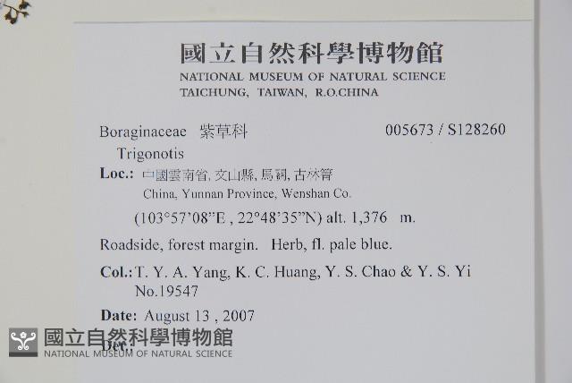 登錄號:S128260藏品圖，第2張