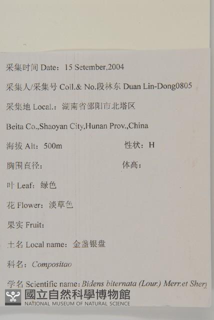 鬼針舅藏品圖，第2張