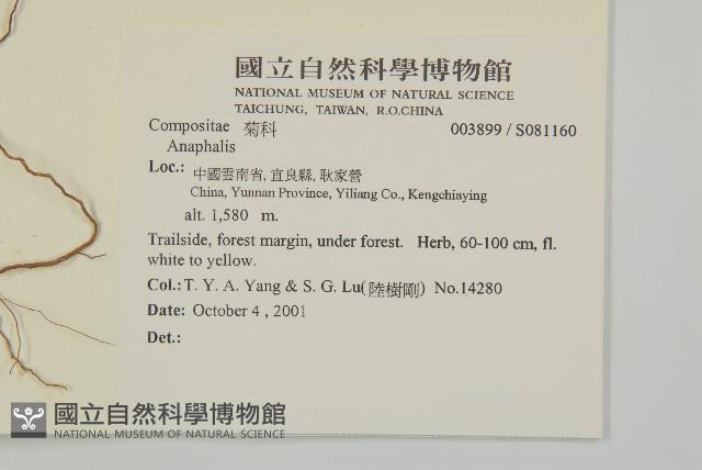 登錄號:S081160藏品圖，第2張