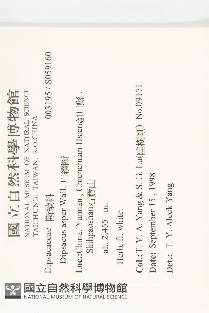 川續斷藏品圖，第2張