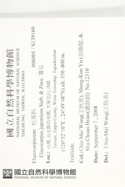 薯豆藏品圖，第2張