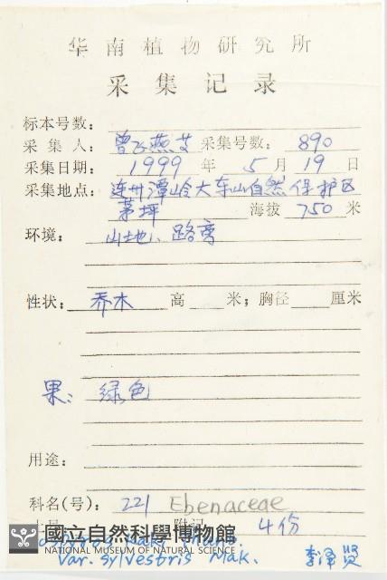 油柿藏品圖，第2張