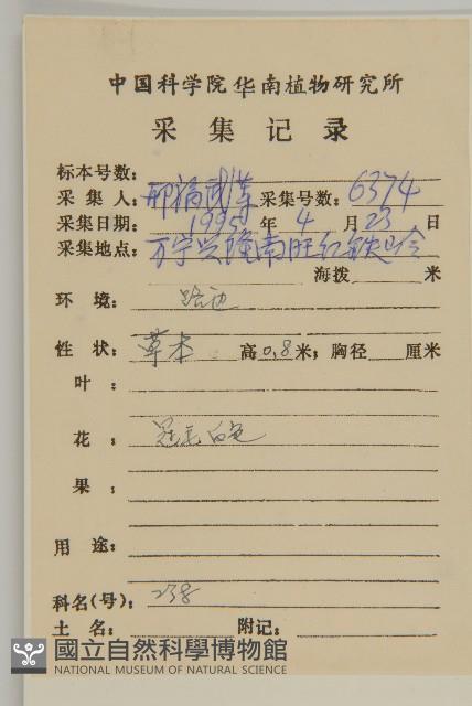 七里明艾納香藏品圖，第2張