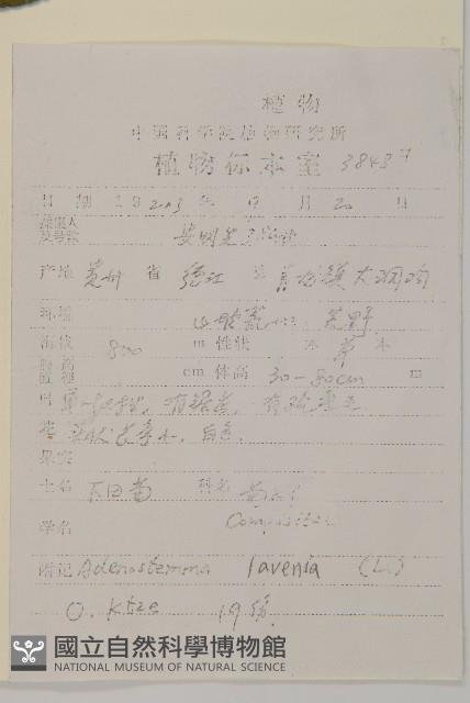 下田菊藏品圖，第2張