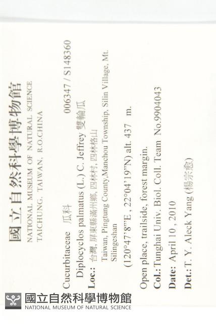 雙輪瓜藏品圖，第2張