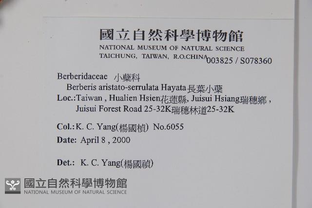 眠月小蘗藏品圖，第2張