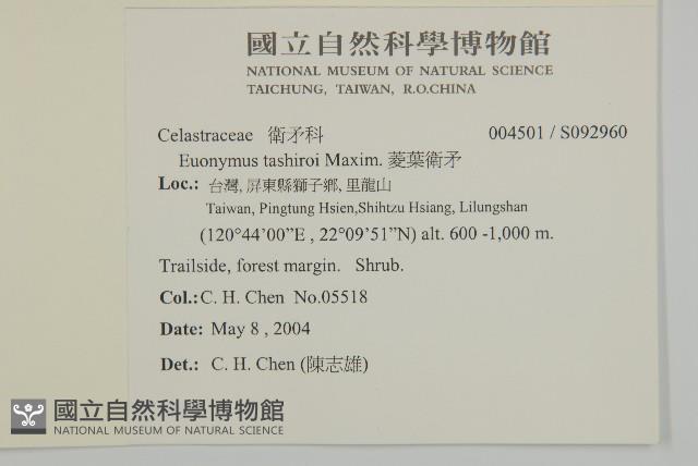 菱葉衛矛藏品圖，第2張