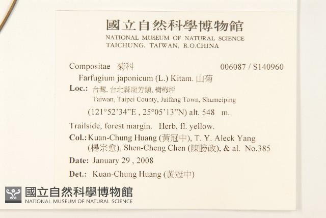 山菊藏品圖，第2張