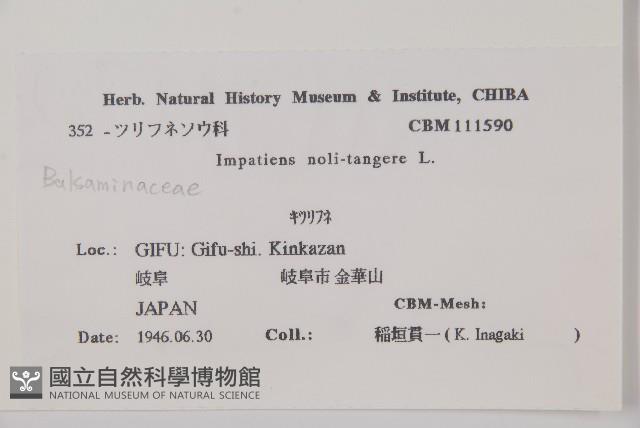 水金鳳藏品圖，第2張