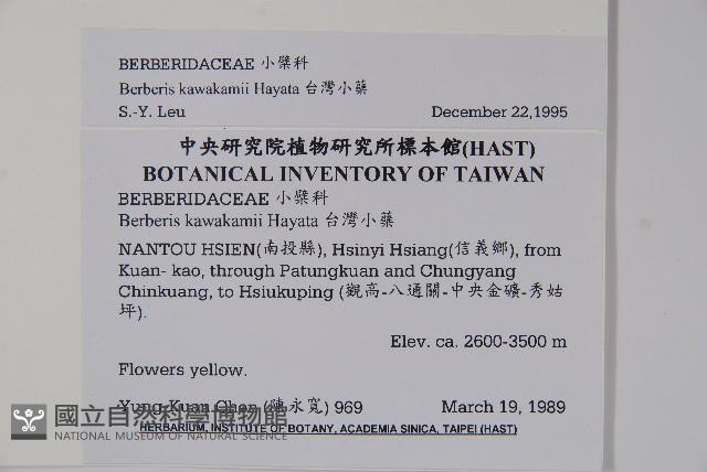 臺灣小蘗藏品圖，第2張