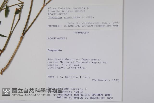 登錄號:S080560藏品圖，第2張