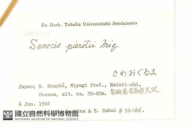 河濱千里光藏品圖，第2張