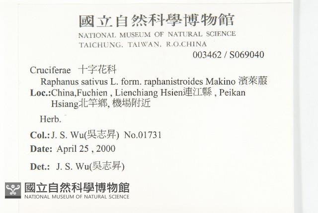 濱萊菔藏品圖，第2張