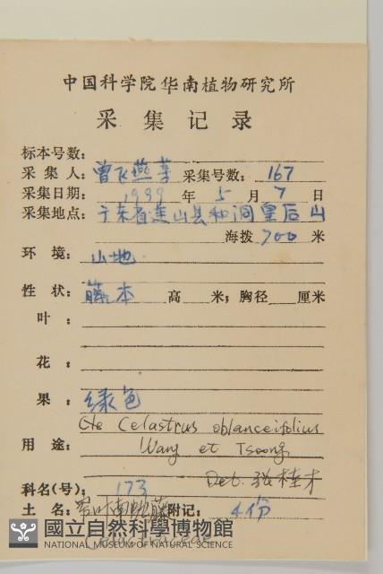 窄葉南蛇藤藏品圖，第2張