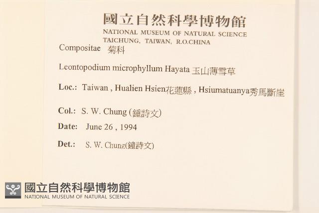 平柄菝契藏品圖，第2張