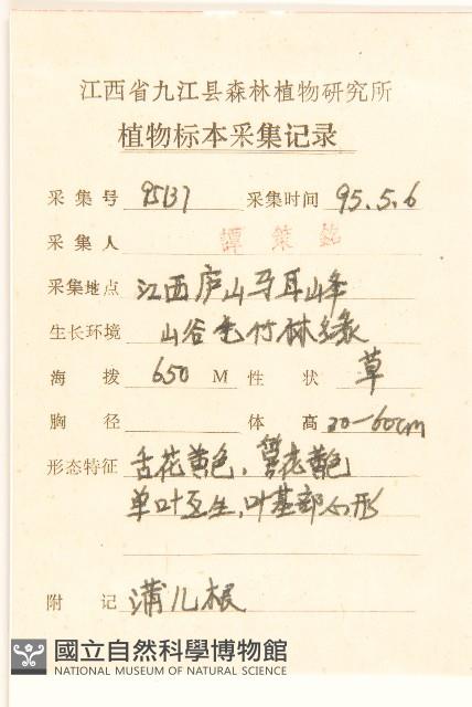 蒲兒根藏品圖，第2張