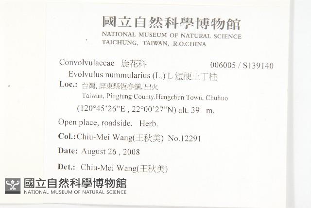 短梗土丁桂藏品圖，第2張