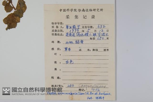 普剌特草藏品圖，第2張