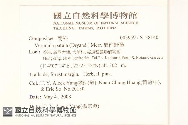 嶺南野菊藏品圖，第2張