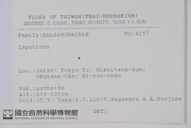 登錄號:S080840藏品圖，第2張