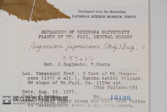 牧根草藏品圖，第2張