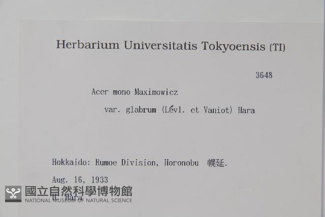 登錄號:S081940藏品圖，第2張