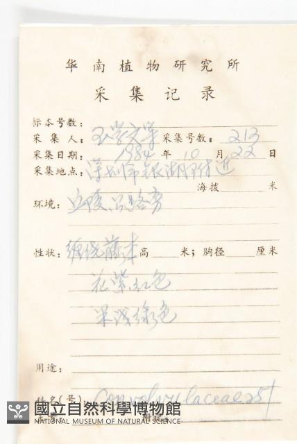 娥房藤藏品圖，第2張