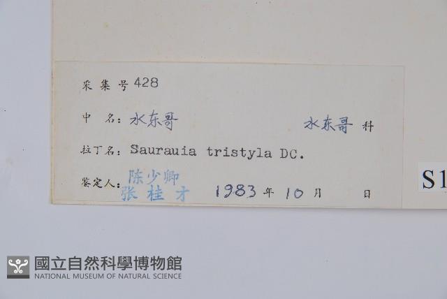 水東哥藏品圖，第2張