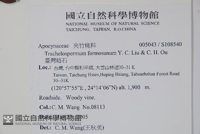 臺灣絡石藏品圖，第2張