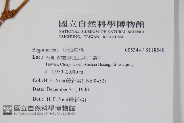 登錄號:S118540藏品圖，第2張