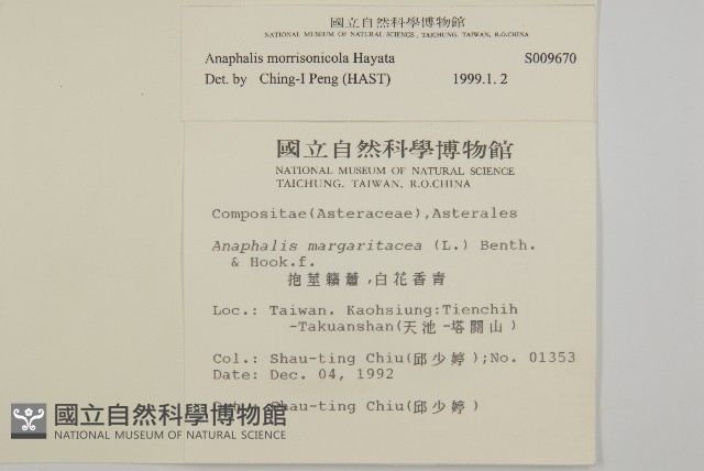 玉山抱莖籟簫藏品圖，第2張