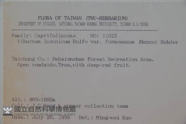 紅子莢迷藏品圖，第2張