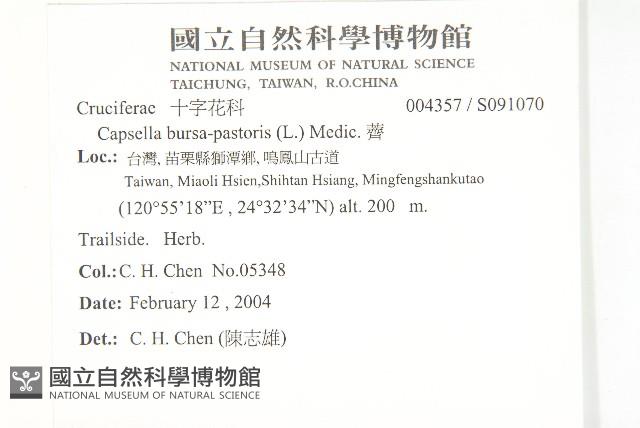 薺藏品圖，第2張