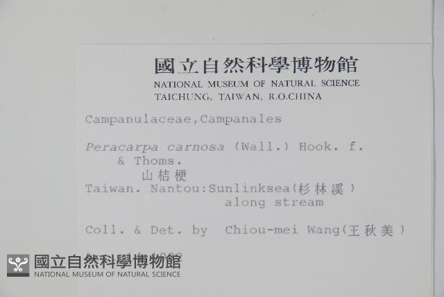 山桔梗藏品圖，第2張