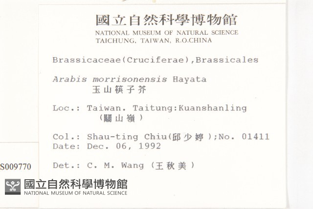 玉山筷子芥藏品圖，第2張