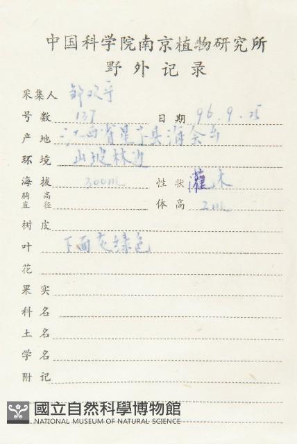 胡頹子藏品圖，第2張