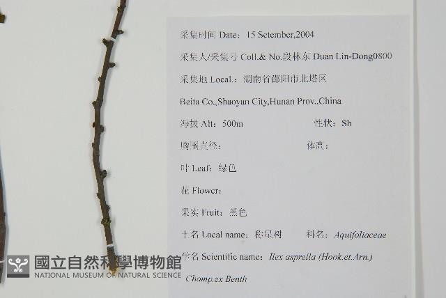 燈稱花、烏雞骨藏品圖，第2張