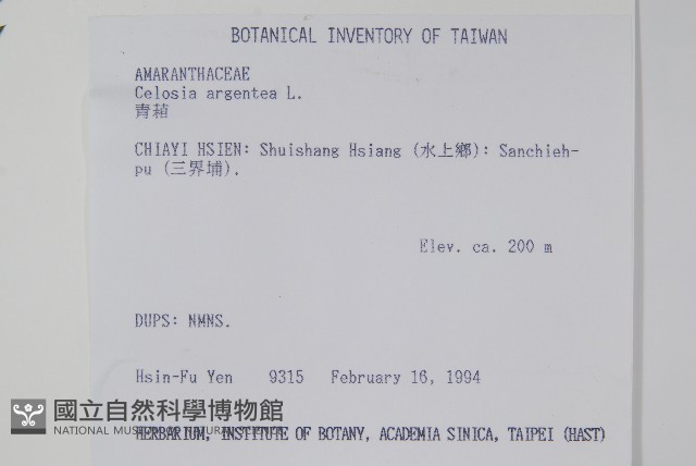 青葙藏品圖，第2張