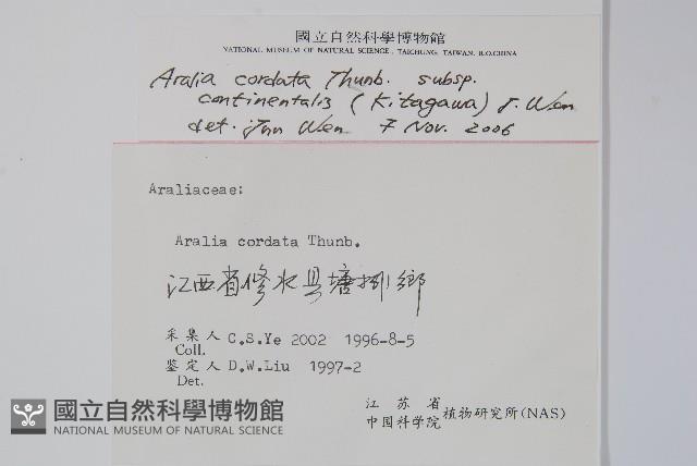 登錄號:S061870藏品圖，第2張