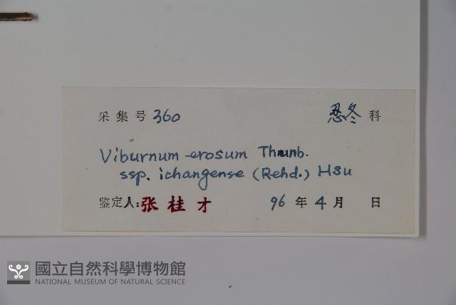 登錄號:S041970藏品圖，第2張