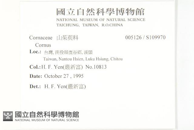 登錄號:S109970藏品圖，第2張