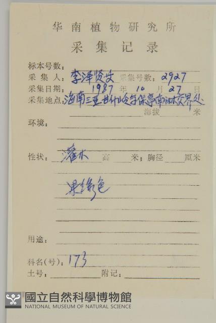 隱脈假衛矛藏品圖，第2張