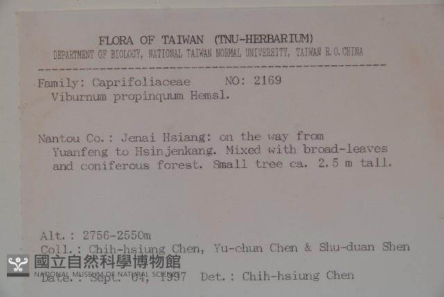 高山莢迷藏品圖，第2張