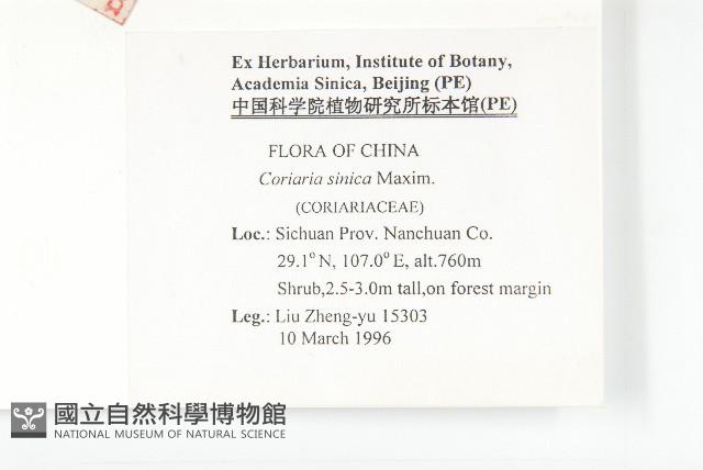 馬桑藏品圖，第2張