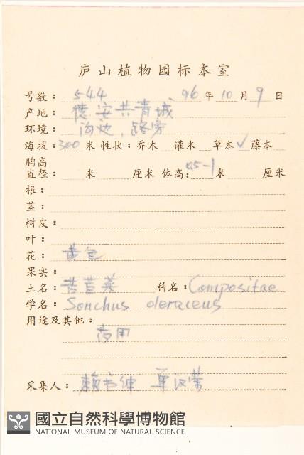 苦滇菜、苦菜藏品圖，第2張