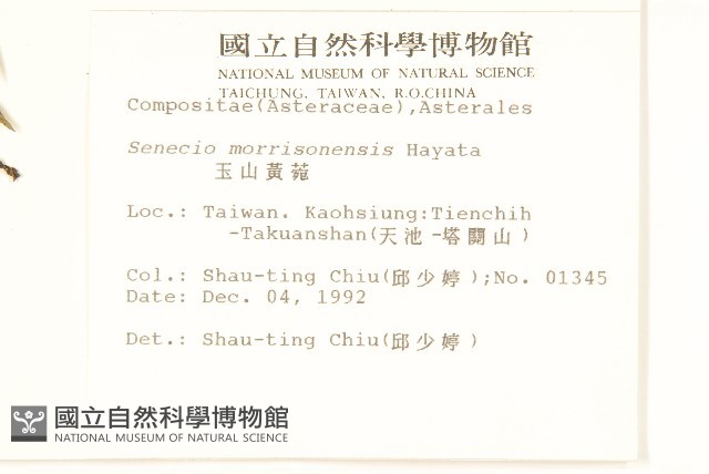 玉山黃菀藏品圖，第2張