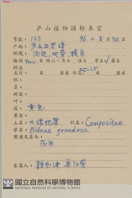 大狼把草藏品圖，第2張